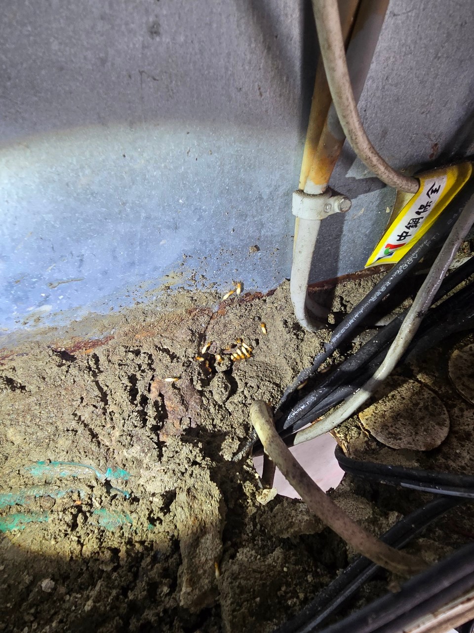 Ho消毒有限公司的實際案例圖片